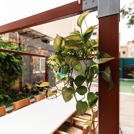 2 At Palazzo Seraphim Boutique Living In St Julians Saint Julian's